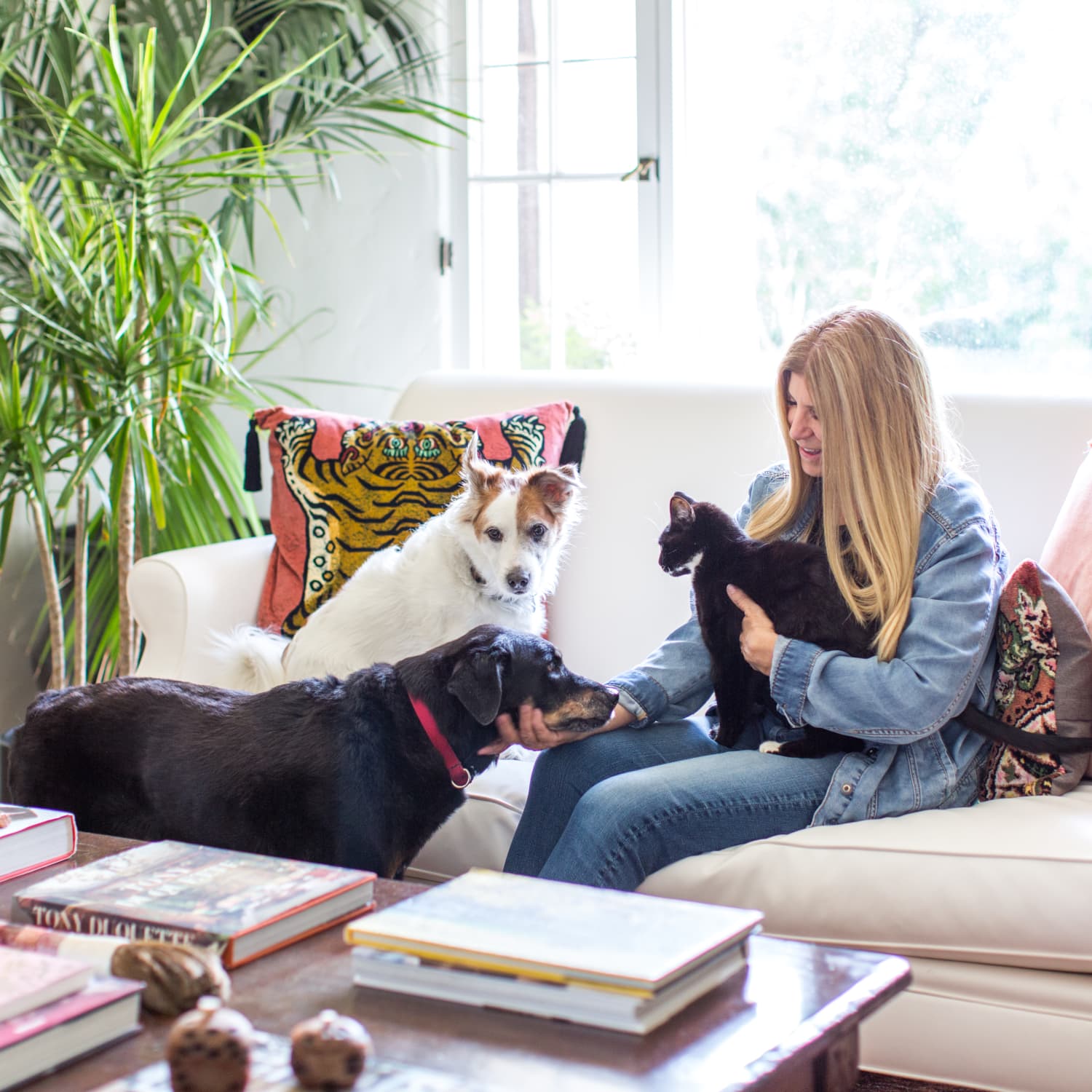 Best large breed dog for 2024 apartment living